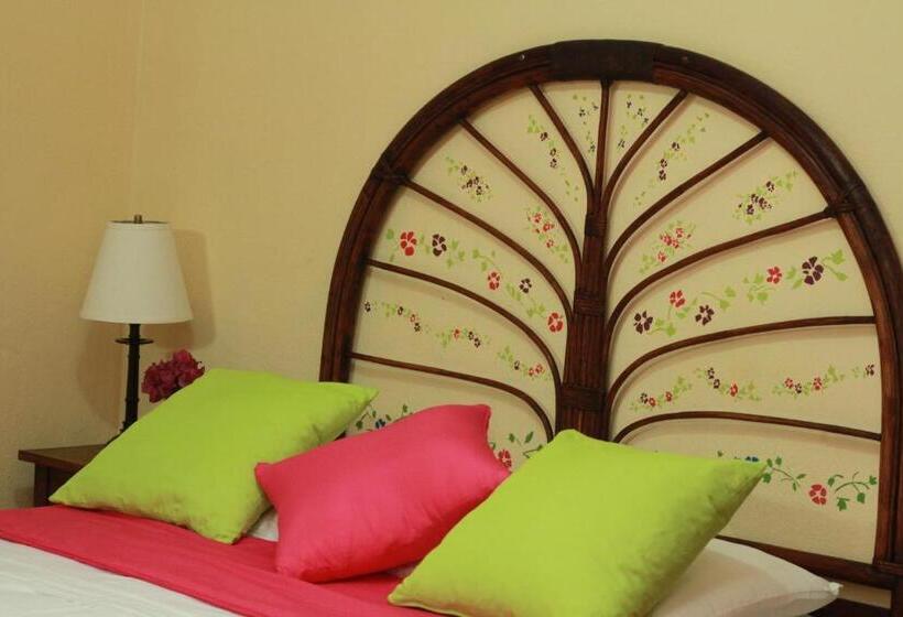 اتاق عادی, Colibri