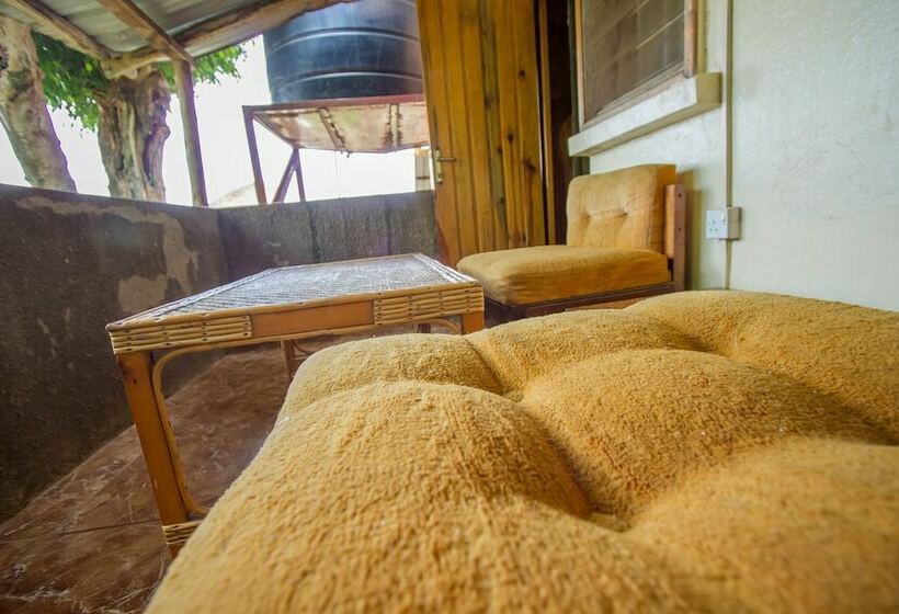 Номер Стандарт Индивидуальный, Diplomate