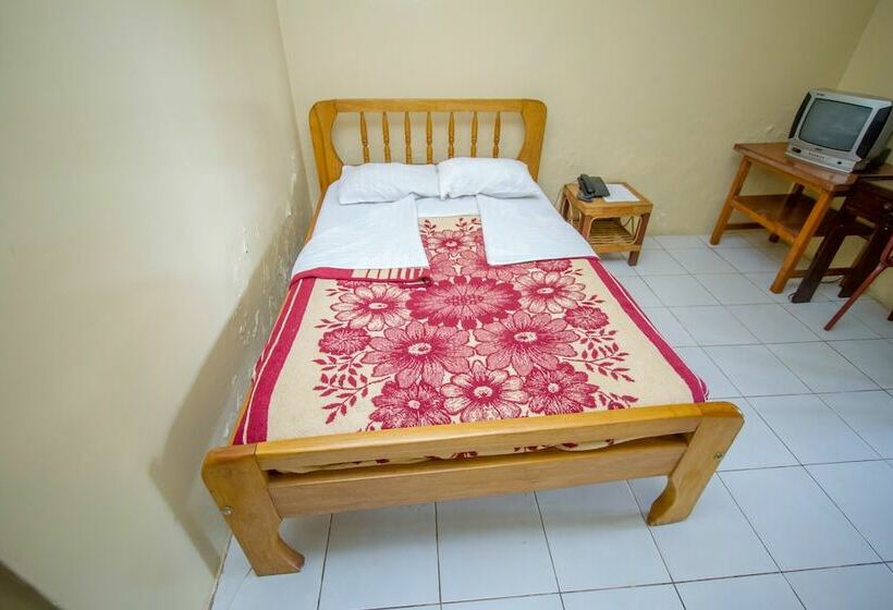 Номер Стандарт Индивидуальный, Diplomate