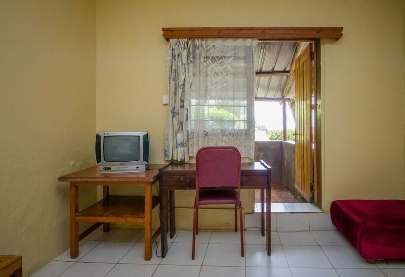 Standard Single Room, Diplomate