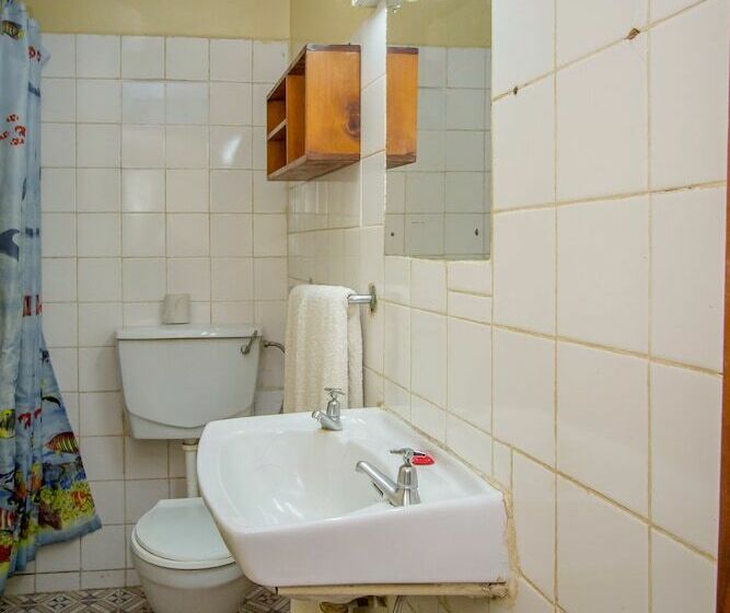 Номер Стандарт Индивидуальный, Diplomate