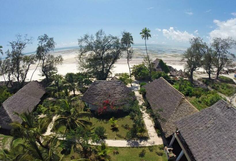 اتاق استاندارد چهارنفره با چشم‌انداز باغ, Kaure Sand Beach Lodge