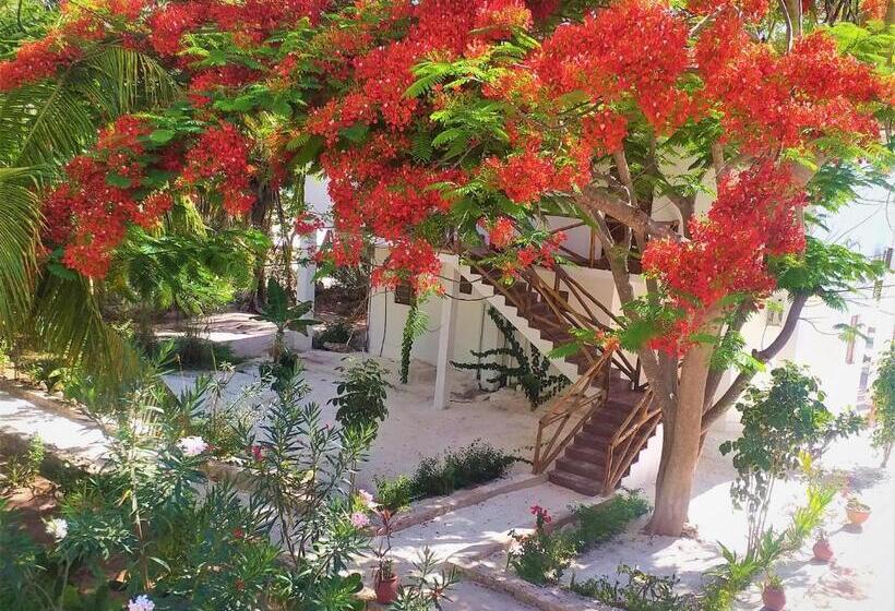 חדר סטנדרט עם מיטת קינג, Kaure Sand Beach Lodge