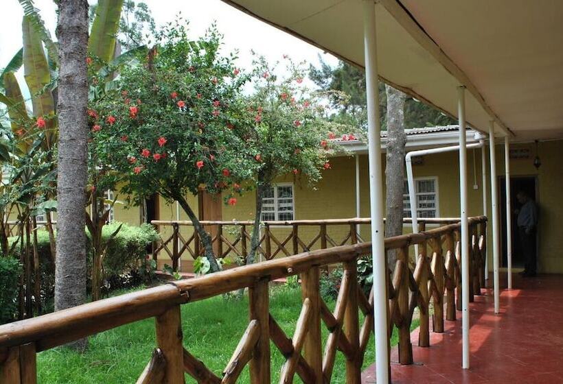 اتاق استاندارد, Little Woods Inn