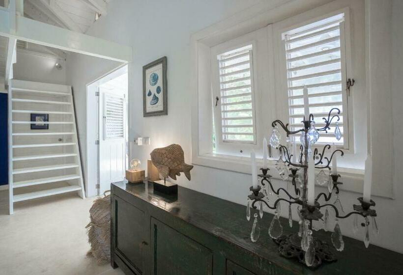 ویلای یک اتاق خوابه با استخر شنا, Mahona Boutique