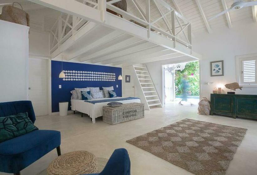 ویلای یک اتاق خوابه با استخر شنا, Mahona Boutique