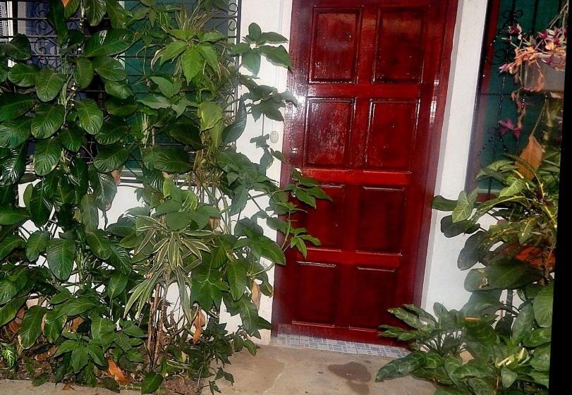 סטודיו סטנדרטי נוף לגינה, Rositas