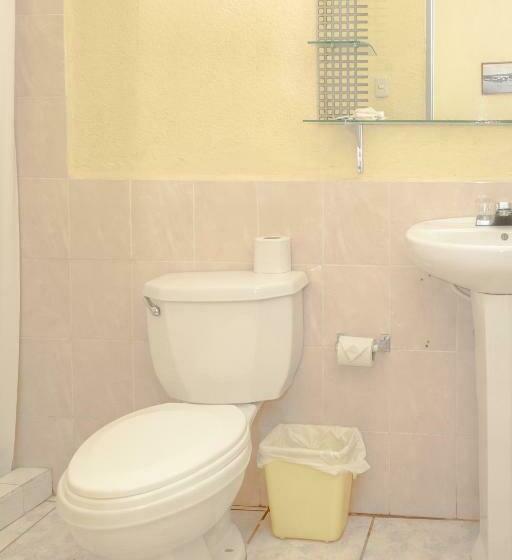 اتاق استاندارد یک نفره, Sabana