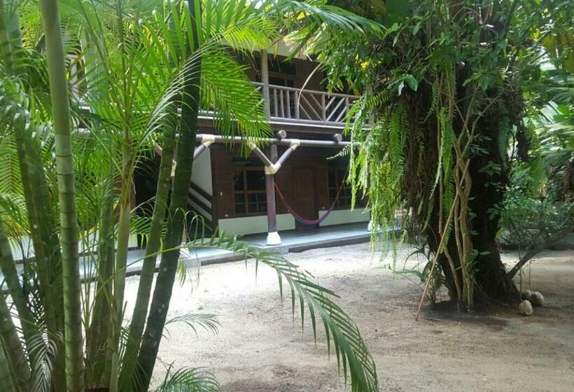 豪华房间, Salvador Gaviota