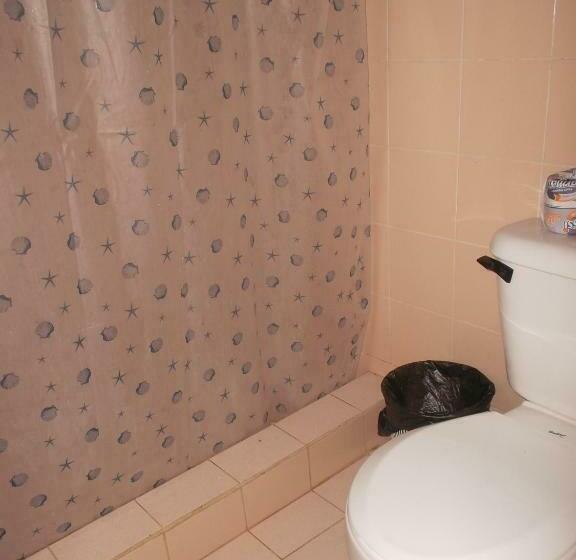 标准间, Salvador Gaviota