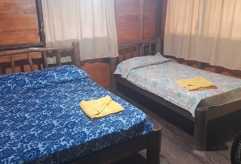 标准间, Salvador Gaviota