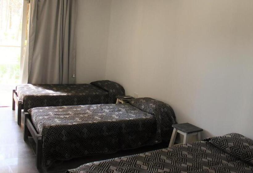 מיטה בחדר משותף, Undarius