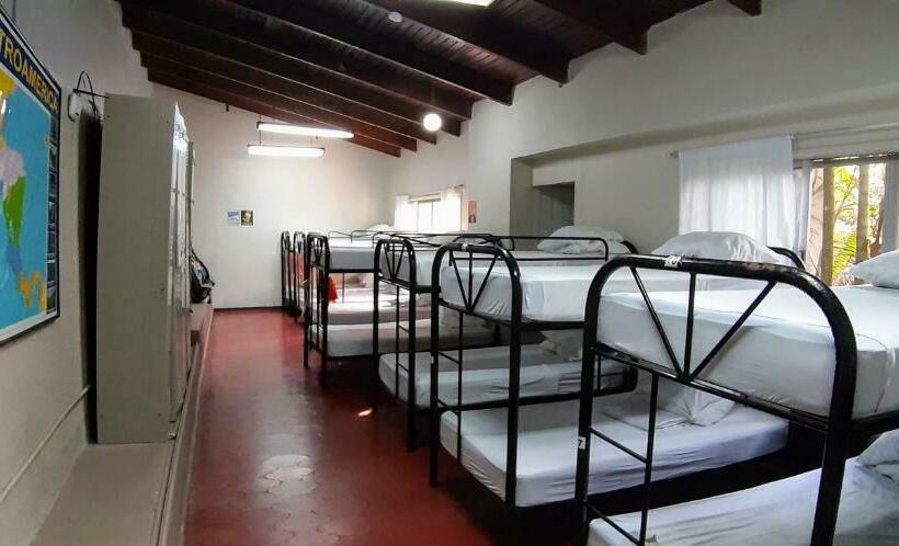 تختخواب در اتاق مشترک, Palmira Hostel