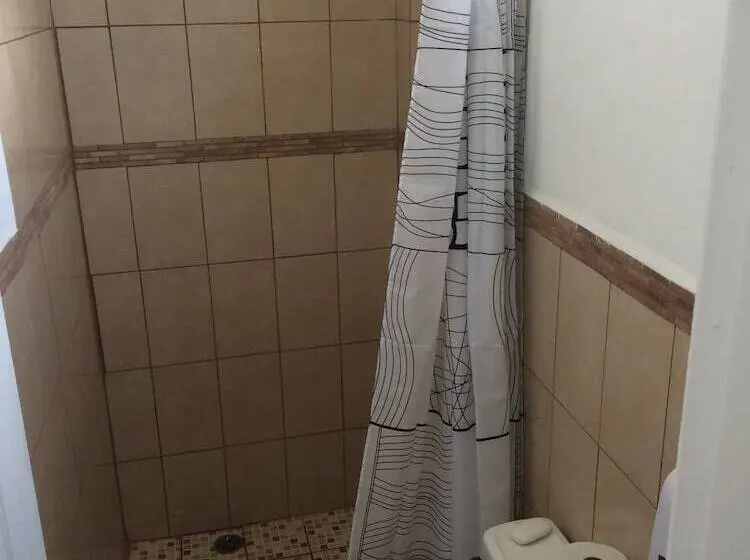 تختخواب در اتاق مشترک, Palmira Hostel