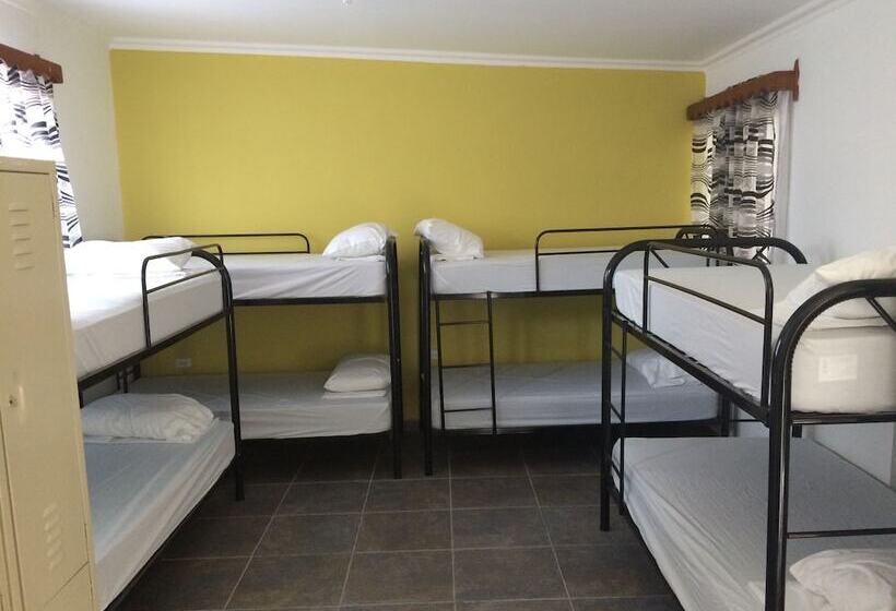 تختخواب در اتاق مشترک, Palmira Hostel