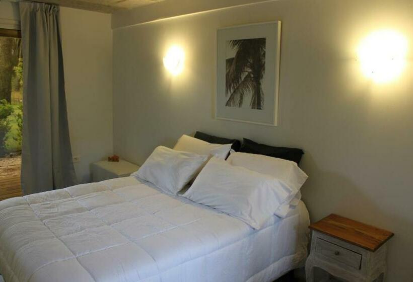 חדר סטנדרט, Undarius