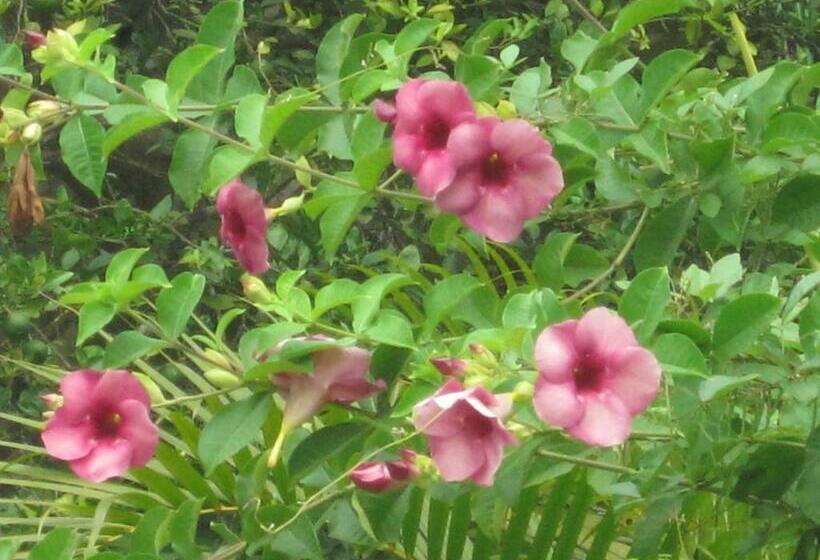 带大床的豪华间, Ranith Villa