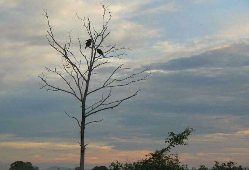 带大床的豪华间, Ranith Villa