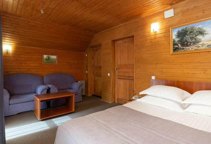 اتاق اکونومی, Bukovel