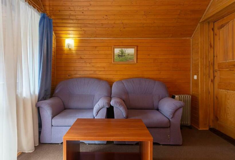 اتاق اکونومی, Bukovel