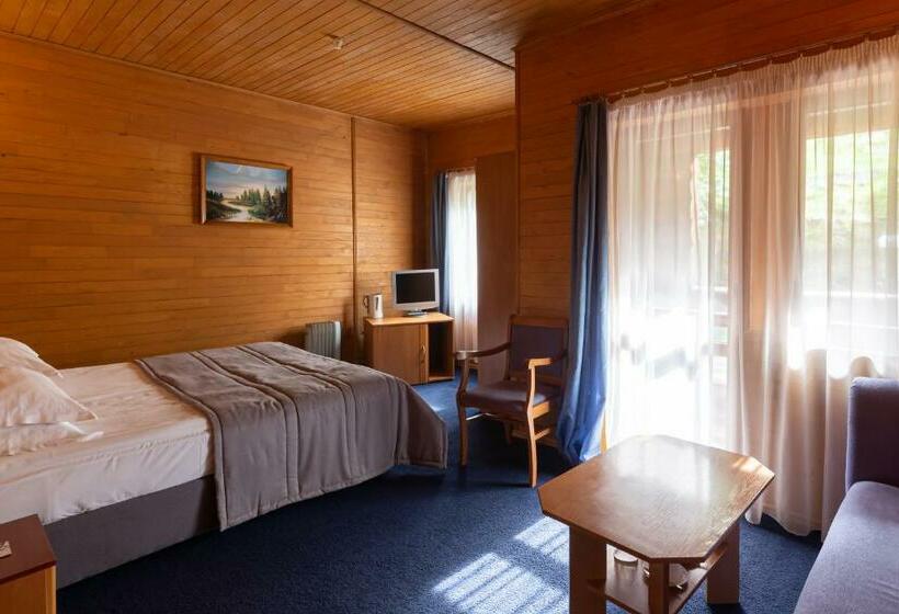 اتاق اکونومی, Bukovel