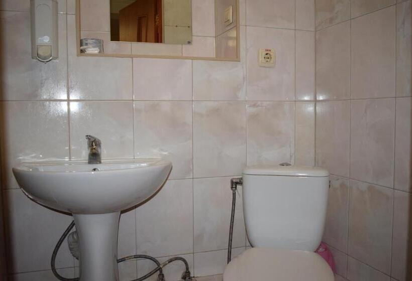 اتاق استاندارد چهار تخته, Desna Kut