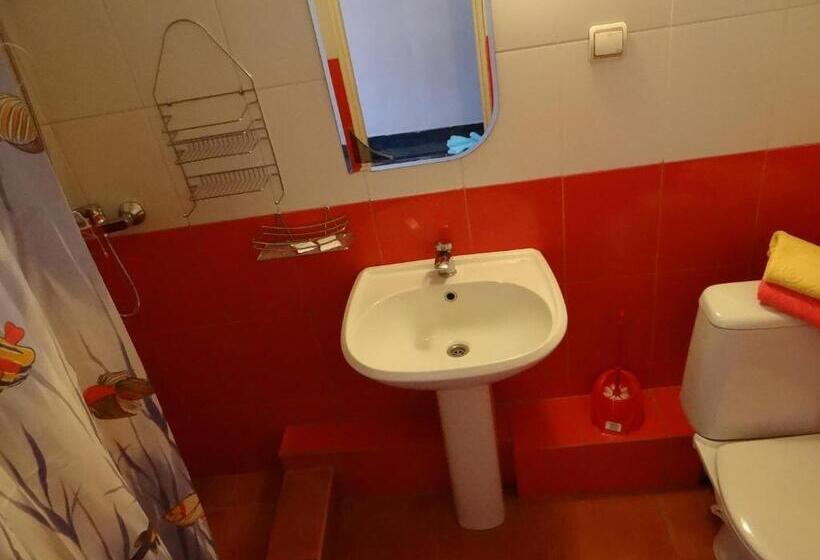 اتاق استاندارد با بالکن, Desna Kut