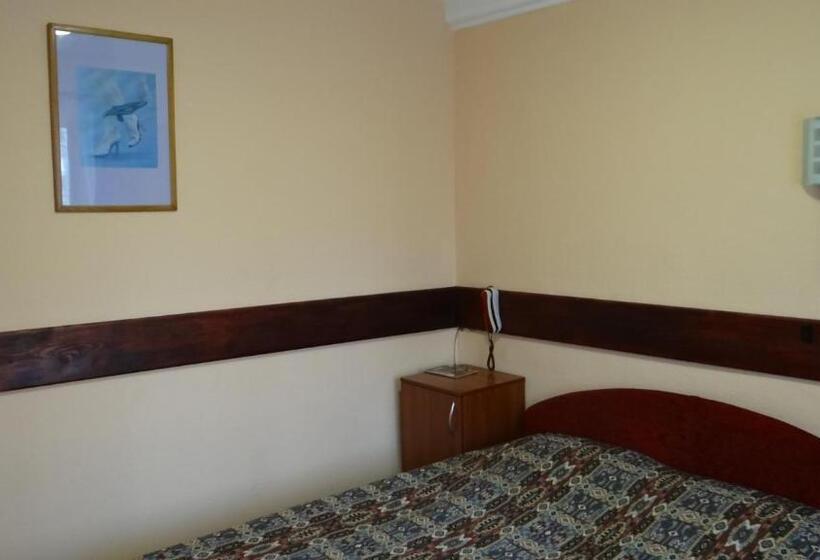 اتاق استاندارد با بالکن, Desna Kut