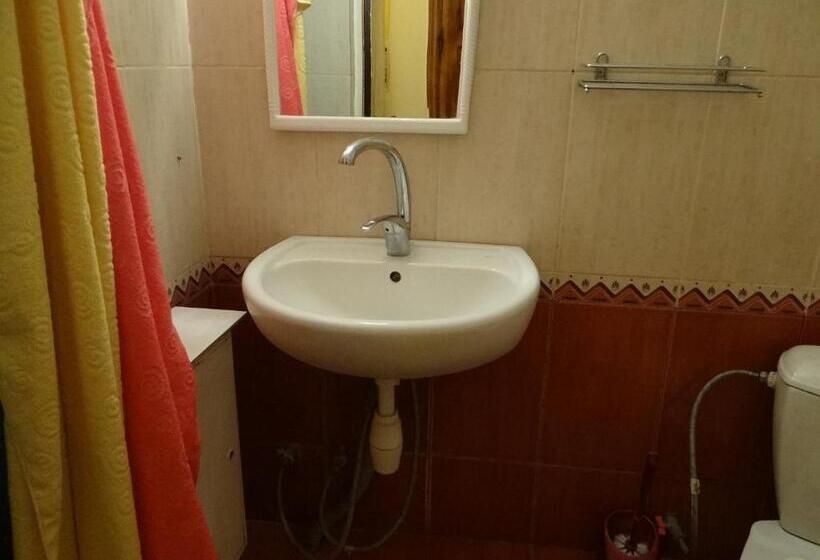 اتاق اکونومی با حمام مشترک, Desna Kut