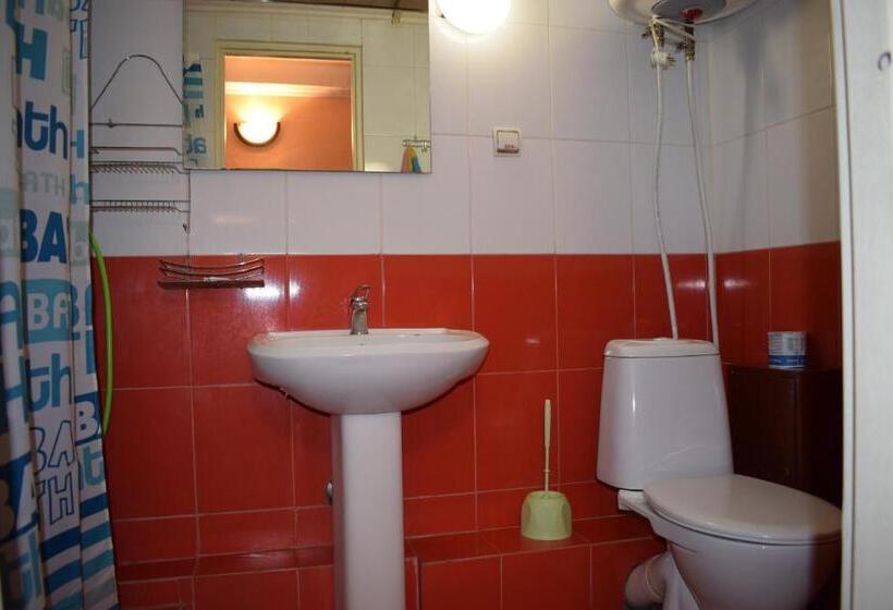 اتاق استاندارد با بالکن, Desna Kut