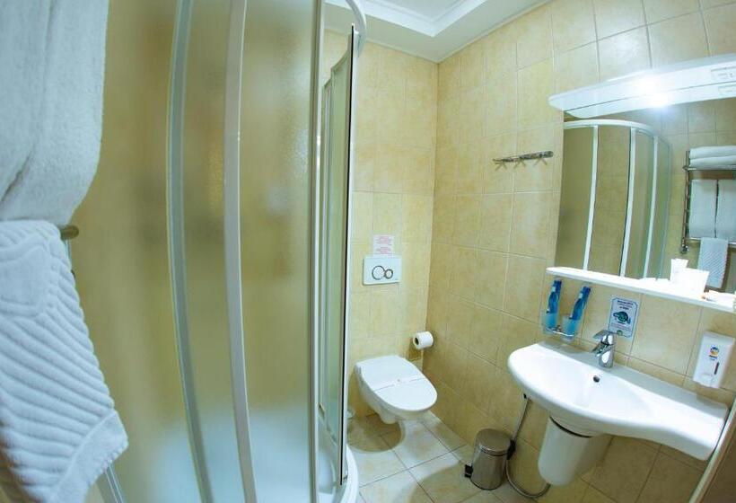 اتاق استاندارد یک نفره, Kiev 365 Park