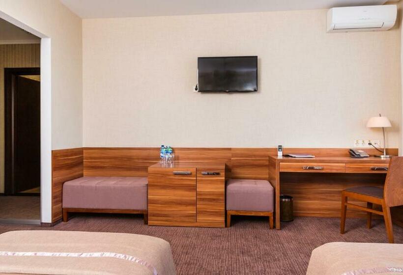 غرفة قياسية, Zagrava