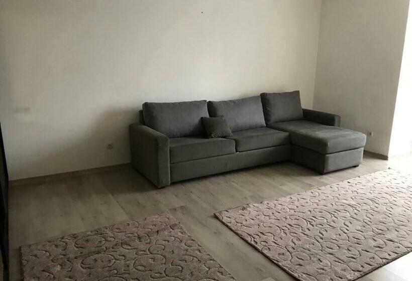 شقة غرفة واحدة, Motel