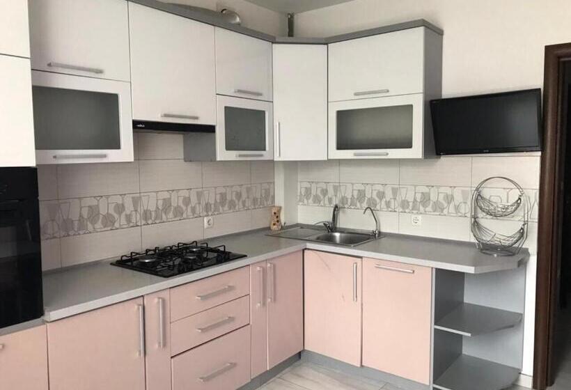 شقة غرفة واحدة, Motel