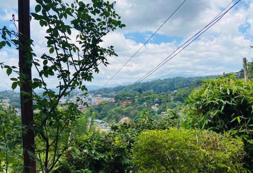 스탠다드 테라스 룸, Mount Palace