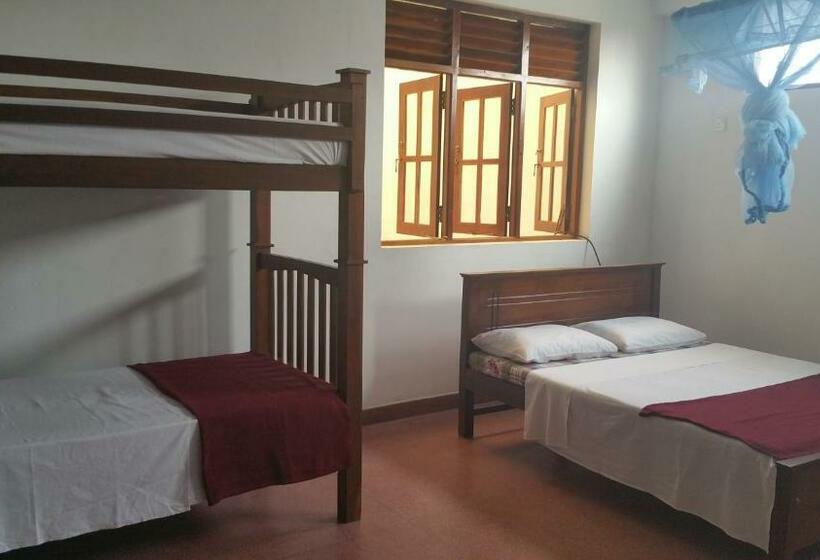 اتاق خانوادگی با سرویس بهداشتی مشترک, Hitchhike Backpackers