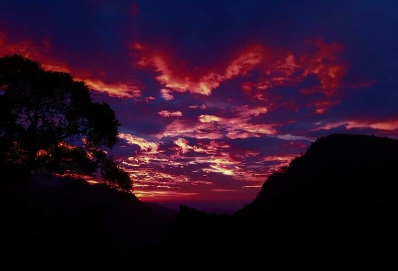 Deluxe Room with Balcony, Blue Ribbon Homestay