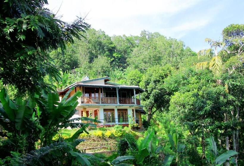 Family Room Mountain View, Blue Ribbon Homestay