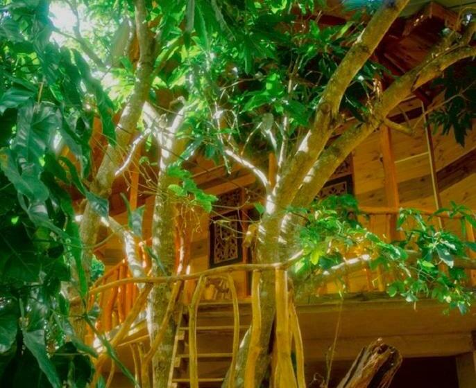 Дом 1 Спальня, Dudley Nature Resort