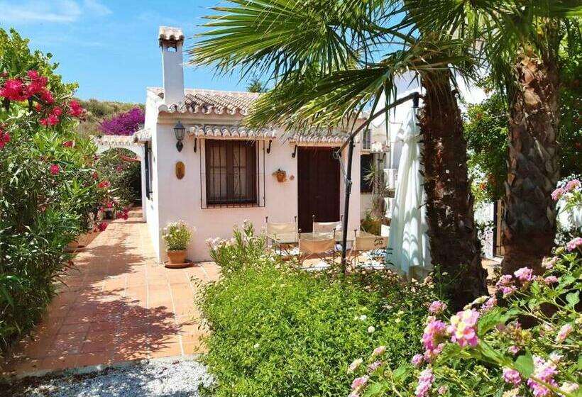 スタンダードルーム, Escuela La Crujía