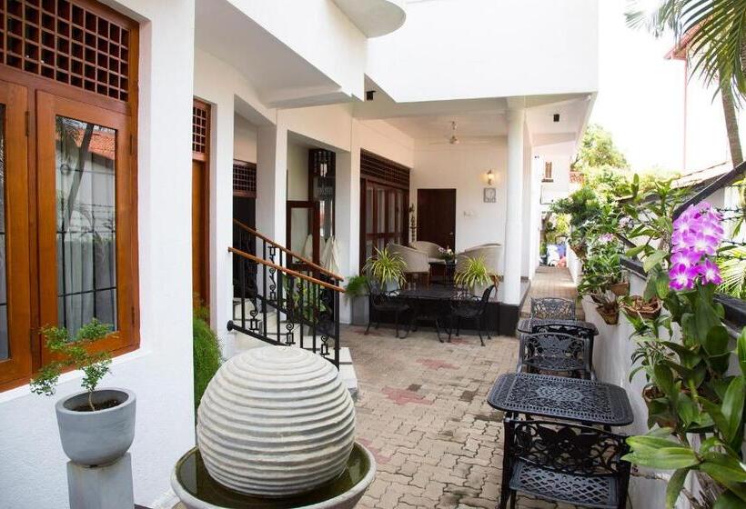 ファミリールーム, Suriya Arana