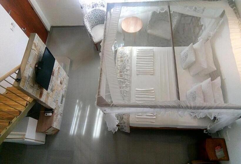 ファミリールーム, Suriya Arana