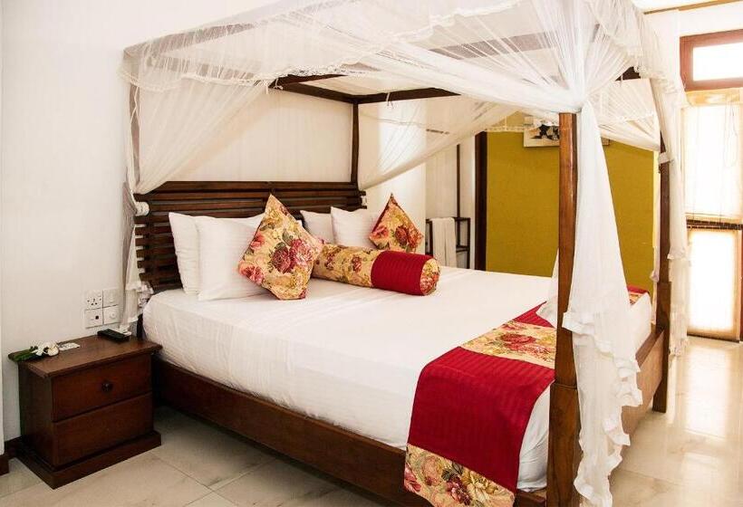 スーペリアールーム, Suriya Arana