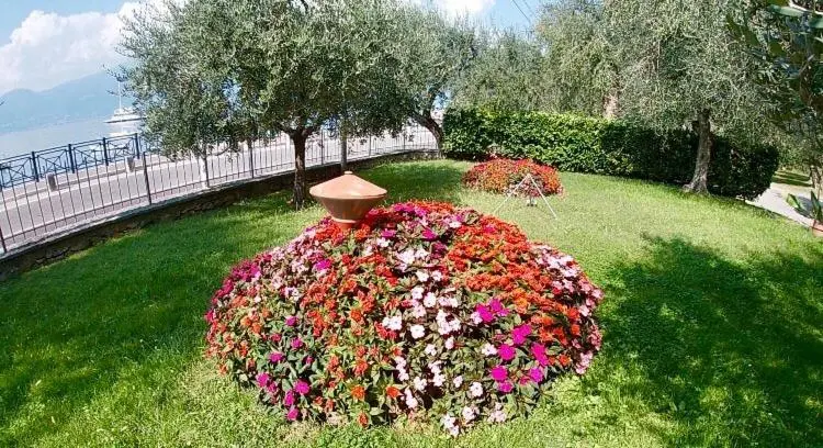 バルコニー付きシングルスタンダードルーム, Garden