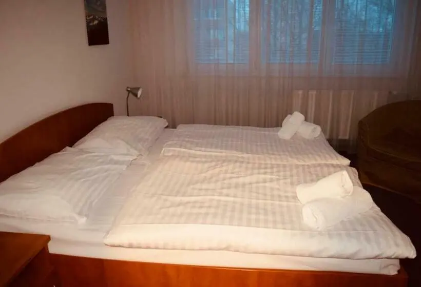 Standard-huone, Lc   Hotel Ostrava