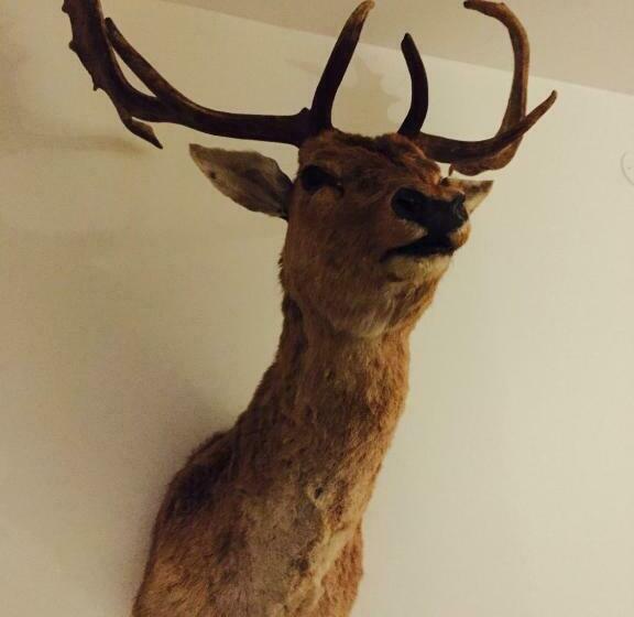 Номер Deluxe, Mezzo