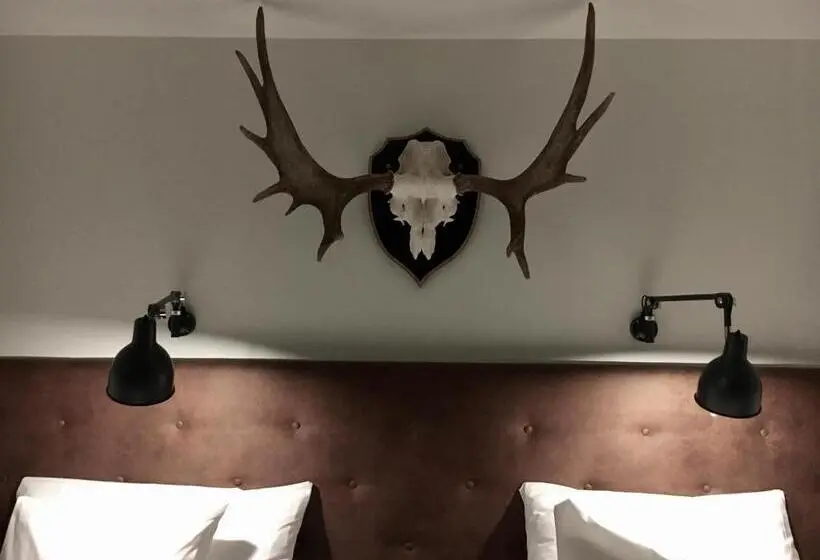 Sviitti, Mezzo