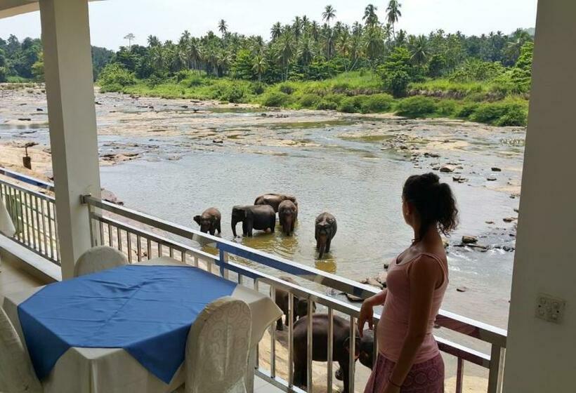 수피리어 룸 강 전망, Pinnalanda   New Deal! Half Off Airport Pickups Available