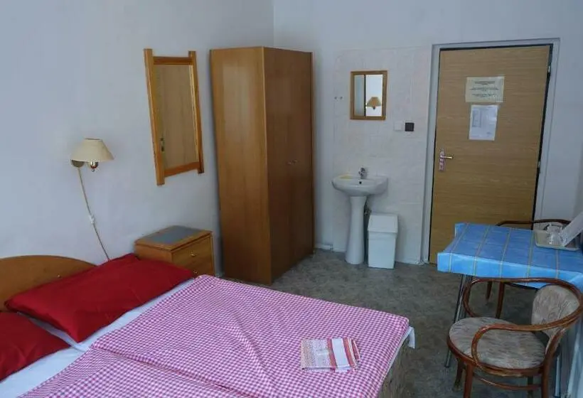 اتاق استاندارد با سرویس بهداشتی مشترک, Sklárna Harrachov