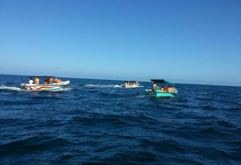Номер Стандарт Вид на Бассейн, Solomon Beach